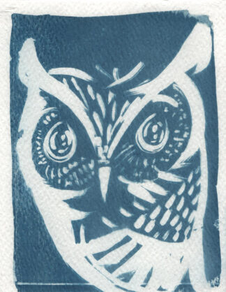 Scops Owl, 11.5 cm x 15 cm